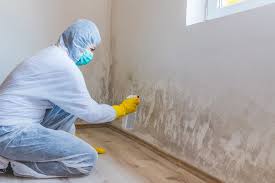 Trusted Preston, IA Mold Removal Experts